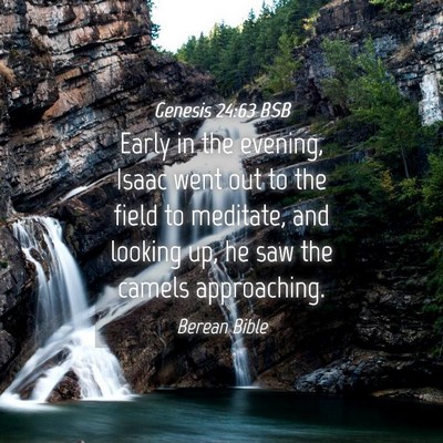 Picture 04 - Genesis 24:63 BSB - Early in the evening, Isaac went out to the field - Bible Verse Picture