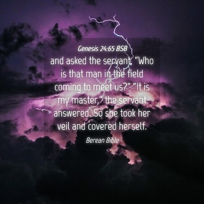 Picture 04 - Genesis 24:65 BSB - and asked the servant, “Who is that man in the - Bible Verse Picture