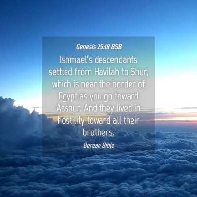 Picture 04 - Genesis 25:18 BSB - Ishmael’s descendants settled from Havilah to - Bible Verse Picture