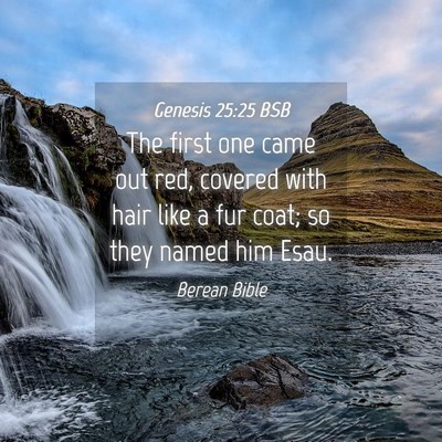 Picture 04 - Genesis 25:25 BSB - The first one came out red, covered with hair - Bible Verse Picture