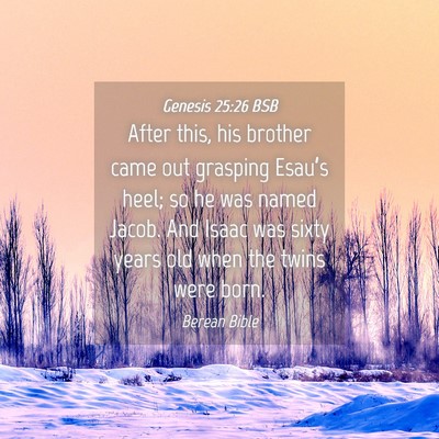 Picture 04 - Genesis 25:26 BSB - After this, his brother came out grasping - Bible Verse Picture