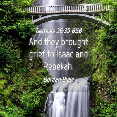 Picture 04 - Genesis 26:35 BSB - And they brought grief to Isaac and - Bible Verse Picture