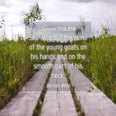 Picture 04 - Genesis 27:16 BSB - She also put the skins of the young goats on his - Bible Verse Picture