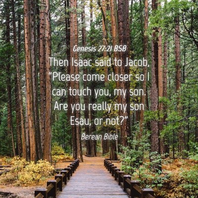 Picture 04 - Genesis 27:21 BSB - Then Isaac said to Jacob, “Please come closer - Bible Verse Picture