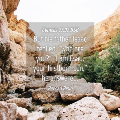 Picture 04 - Genesis 27:32 BSB - But his father Isaac replied, “Who are you?” - Bible Verse Picture