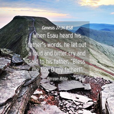 Picture 04 - Genesis 27:34 BSB - When Esau heard his father’s words, he let out - Bible Verse Picture