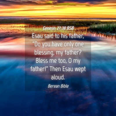 Picture 04 - Genesis 27:38 BSB - Esau said to his father, “Do you have only one - Bible Verse Picture
