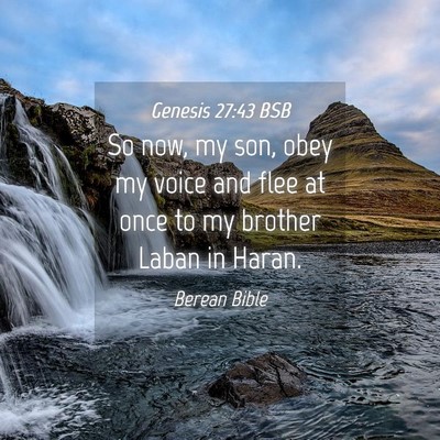 Picture 04 - Genesis 27:43 BSB - So now, my son, obey my voice and flee at once to - Bible Verse Picture