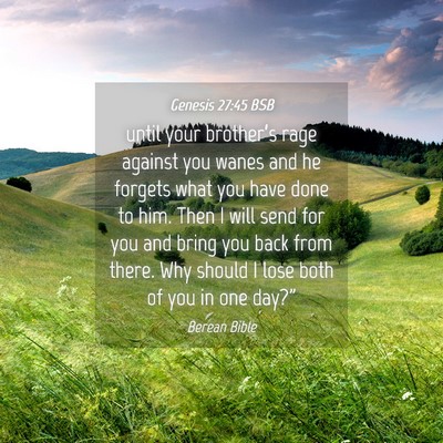 Picture 04 - Genesis 27:45 BSB - until your brother’s rage against you wanes and - Bible Verse Picture