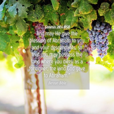 Picture 04 - Genesis 28:4 BSB - And may He give the blessing of Abraham to you - Bible Verse Picture
