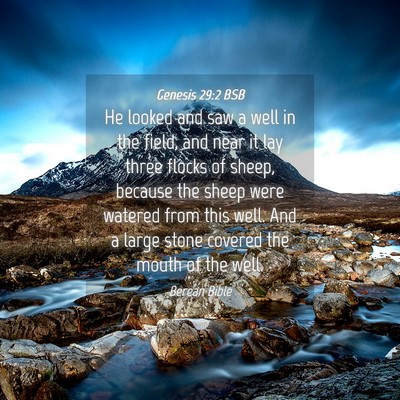 Picture 04 - Genesis 29:2 BSB - He looked and saw a well in the field, and near - Bible Verse Picture