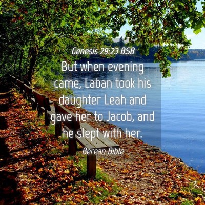 Picture 04 - Genesis 29:23 BSB - But when evening came, Laban took his daughter - Bible Verse Picture