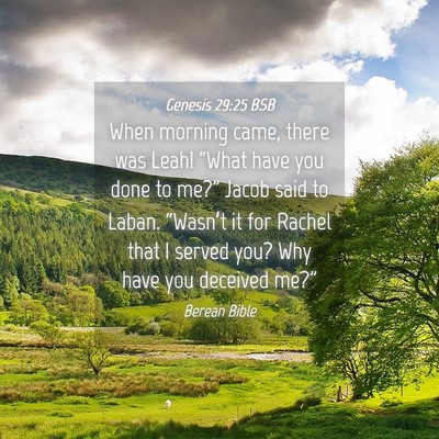 Picture 04 - Genesis 29:25 BSB - When morning came, there was Leah! “What have - Bible Verse Picture