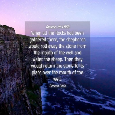 Picture 04 - Genesis 29:3 BSB - When all the flocks had been gathered there, the - Bible Verse Picture