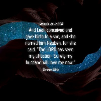 Picture 04 - Genesis 29:32 BSB - And Leah conceived and gave birth to a son, and - Bible Verse Picture