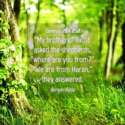 Picture 04 - Genesis 29:4 BSB - “My brothers,” Jacob asked the shepherds, - Bible Verse Picture
