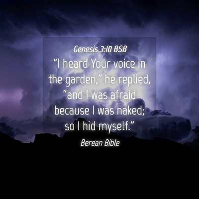 Picture 04 - Genesis 3:10 BSB - “I heard Your voice in the garden,” he - Bible Verse Picture