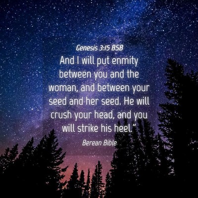 Picture 04 - Genesis 3:15 BSB - And I will put enmity between you and the woman, - Bible Verse Picture