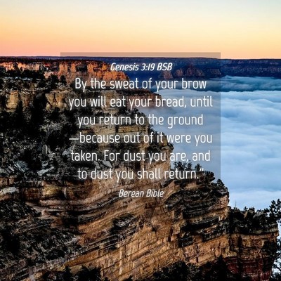 Picture 04 - Genesis 3:19 BSB - By the sweat of your brow you will eat your - Bible Verse Picture