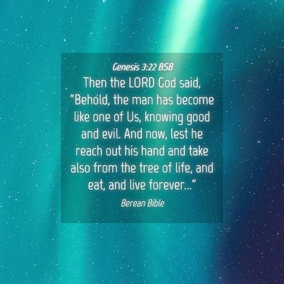 Picture 04 - Genesis 3:22 BSB - Then the LORD God said, “Behold, the man has - Bible Verse Picture