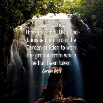 Picture 04 - Genesis 3:23 BSB - Therefore the LORD God banished him from the - Bible Verse Picture