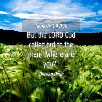 Picture 04 - Genesis 3:9 BSB - But the LORD God called out to the man, “Where - Bible Verse Picture