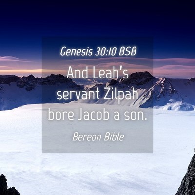 Picture 04 - Genesis 30:10 BSB - And Leah’s servant Zilpah bore Jacob a - Bible Verse Picture