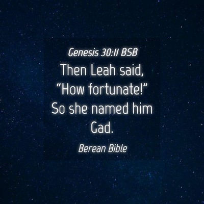 Picture 04 - Genesis 30:11 BSB - Then Leah said, “How fortunate!” So she named - Bible Verse Picture