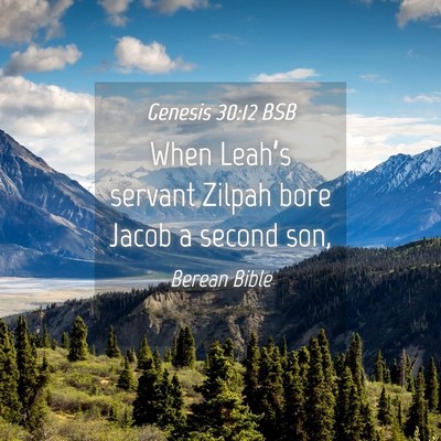 Picture 04 - Genesis 30:12 BSB - When Leah’s servant Zilpah bore Jacob a second - Bible Verse Picture