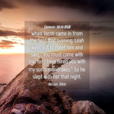 Picture 04 - Genesis 30:16 BSB - When Jacob came in from the field that evening, - Bible Verse Picture