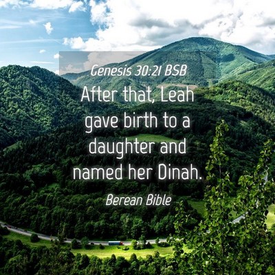 Picture 04 - Genesis 30:21 BSB - After that, Leah gave birth to a daughter and - Bible Verse Picture
