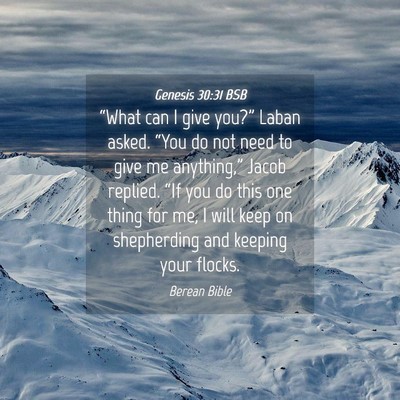 Picture 04 - Genesis 30:31 BSB - “What can I give you?” Laban asked. “You do - Bible Verse Picture