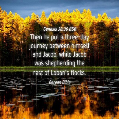 Picture 04 - Genesis 30:36 BSB - Then he put a three-day journey between himself - Bible Verse Picture