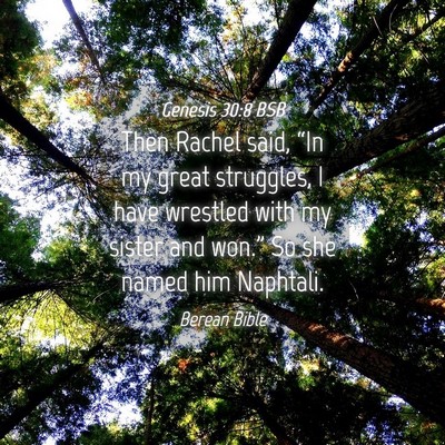 Picture 04 - Genesis 30:8 BSB - Then Rachel said, “In my great struggles, I - Bible Verse Picture