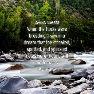 Picture 04 - Genesis 31:10 BSB - When the flocks were breeding, I saw in a dream - Bible Verse Picture