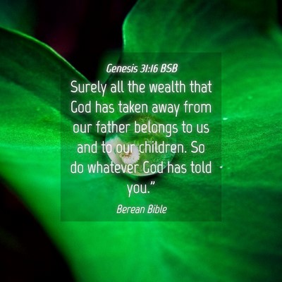 Picture 04 - Genesis 31:16 BSB - Surely all the wealth that God has taken away - Bible Verse Picture