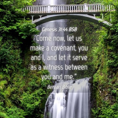 Picture 04 - Genesis 31:44 BSB - Come now, let us make a covenant, you and I, and - Bible Verse Picture