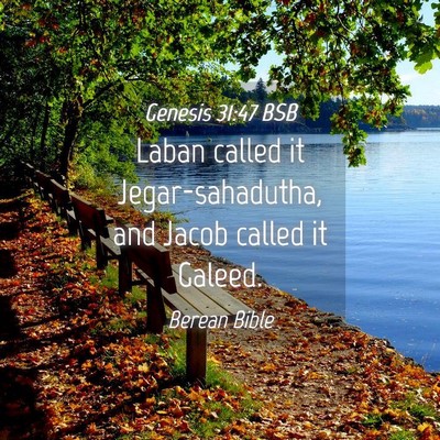 Picture 04 - Genesis 31:47 BSB - Laban called it Jegar-sahadutha, and Jacob called - Bible Verse Picture