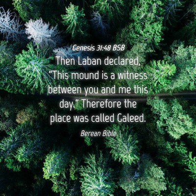 Picture 04 - Genesis 31:48 BSB - Then Laban declared, “This mound is a witness - Bible Verse Picture
