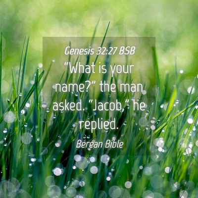 Picture 04 - Genesis 32:27 BSB - “What is your name?” the man asked. - Bible Verse Picture