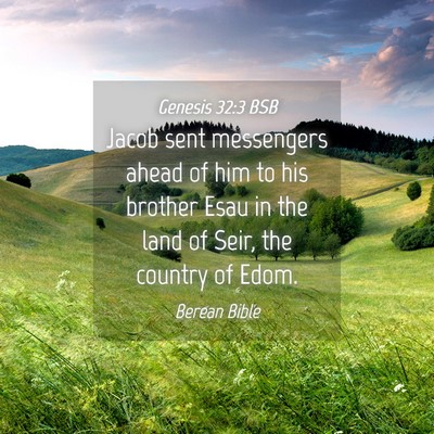Picture 04 - Genesis 32:3 BSB - Jacob sent messengers ahead of him to his brother - Bible Verse Picture