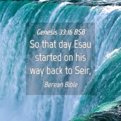 Picture 04 - Genesis 33:16 BSB - So that day Esau started on his way back to - Bible Verse Picture