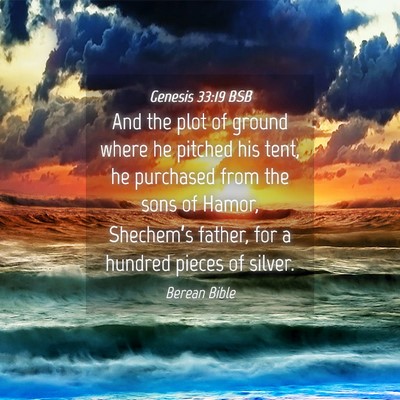 Picture 04 - Genesis 33:19 BSB - And the plot of ground where he pitched his tent, - Bible Verse Picture