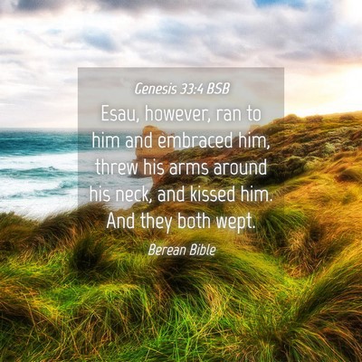 Picture 04 - Genesis 33:4 BSB - Esau, however, ran to him and embraced him, threw - Bible Verse Picture