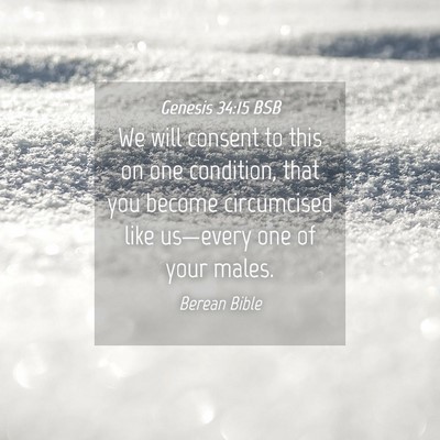 Picture 04 - Genesis 34:15 BSB - We will consent to this on one condition, that - Bible Verse Picture