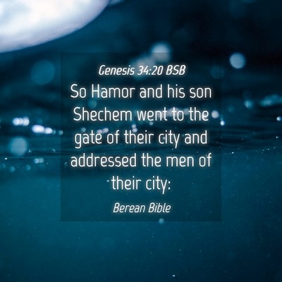 Picture 04 - Genesis 34:20 BSB - So Hamor and his son Shechem went to the gate of - Bible Verse Picture