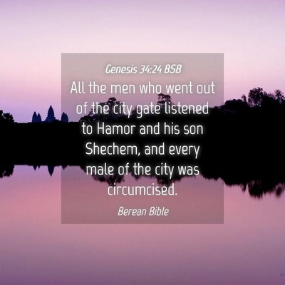Picture 04 - Genesis 34:24 BSB - All the men who went out of the city gate - Bible Verse Picture