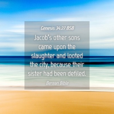 Picture 04 - Genesis 34:27 BSB - Jacob’s other sons came upon the slaughter and - Bible Verse Picture