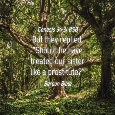 Picture 04 - Genesis 34:31 BSB - But they replied, “Should he have treated our - Bible Verse Picture