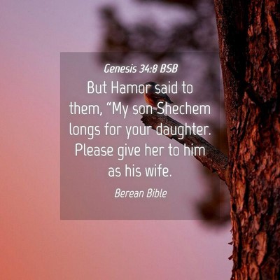 Picture 04 - Genesis 34:8 BSB - But Hamor said to them, “My son Shechem longs - Bible Verse Picture
